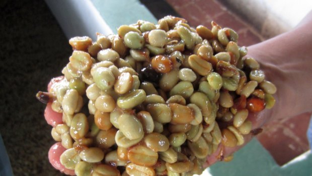 Fermented coffee beans