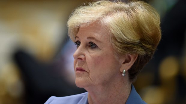 Human Rights Commission president Gillian Triggs said while countries were "courteous" there were "common themes" of concern.