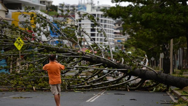 A resident takes a photo of a fallen tree brought down by Tropical Cyclone Marcia in the northern Queensland town of Yeppoon on February 20.