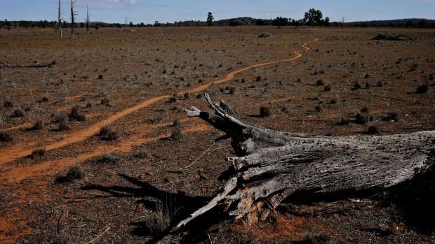 Conservation groups have dubbed the land clearing policy a "so-called biodiversity act".