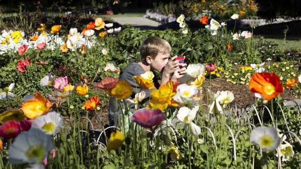 A German tourist enjoys the sunshine in the Royal Botanic Gardens.