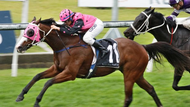 Going to a new level: Foreign Prince wins at Rosehill.