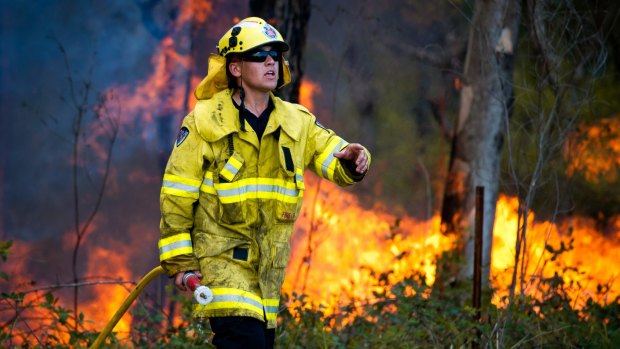 A firefighter battles blazes at Abermain and Neath in the NSW Hunter region.