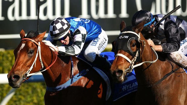 Double: Kris Lees will chase a second Gosford Gold Cup after Oriental Lady was eventually crowned the winner last year.