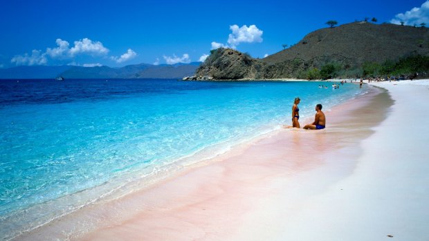 Pink beach Komodo island Indonesia.