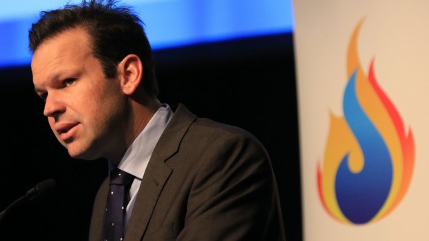 Senator Matt Canavan and tha Nationals have called for an end to all renewables subsidies.