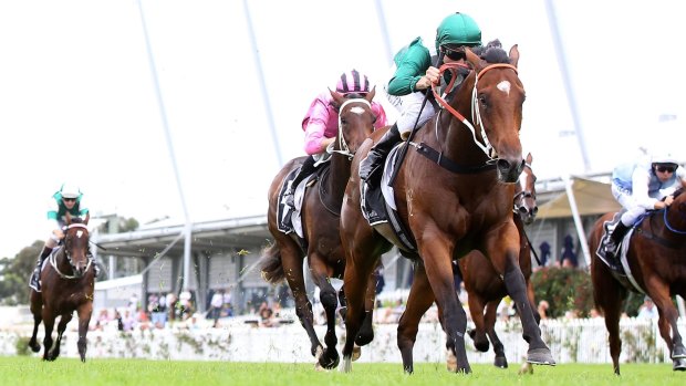 Golden glow: Blake Shinn and Headwater take out the Silver Slipper at Rosehill.