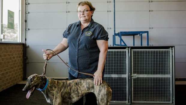 Canberra Greyhound Racing Club secretary Debbie Collier said the board decided it was time to "defend themselves" against RSPCA ACT's claims.