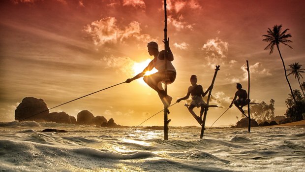 Stilt fishermen at Kogalla, Sri Lanka.