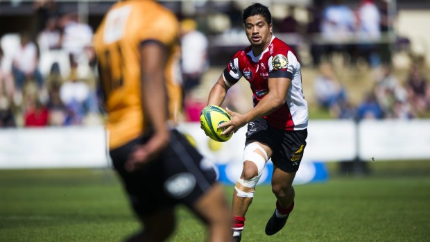 The Brumbies will ignore Rodney Iona's drink-driving conviction when deciding his future.