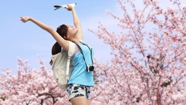 Cherry blossom season in Japan. Traveller.com.au's readers were more interested in Japan than any other destination in 2015.