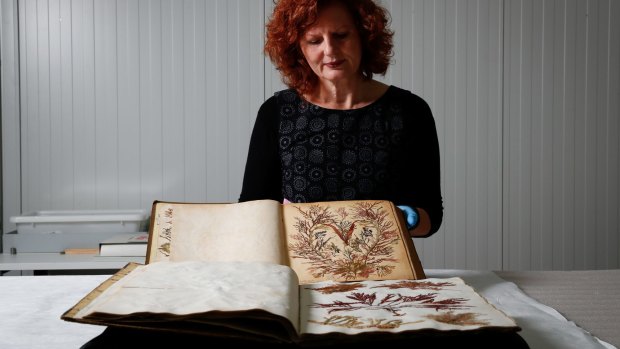 Julie Ryder holds the Port Phillip seaweed album, with the Port Arthur album in the foreground.