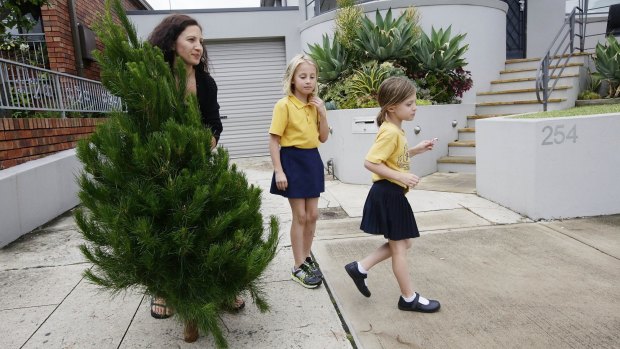 Tinsel time: The family take their tree home, where they have 'plenty of tinsel, and fairy lights'.