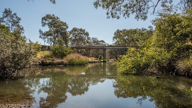 Spot platypus in the evenings in this part of the Werribee River.