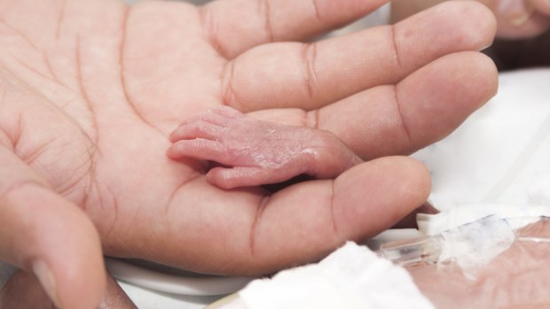 A newborn baby and hand inside an incubator. QIMR Berghofer research could help improve the health of premature babies.