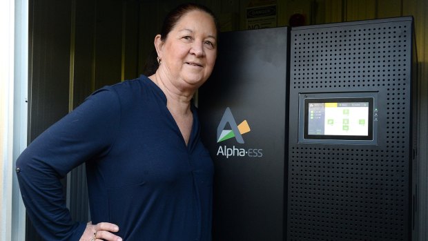 Jane Whiltsher poses with her "new toy" - the battery that powers her home.