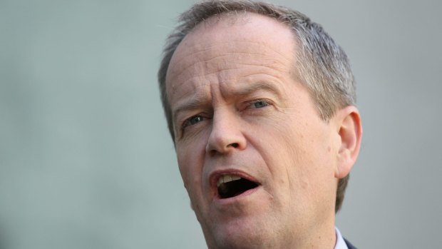 Labor MP Ed Husic's warning about a lack of consultation is the first major complaint to be made about Bill Shorten's leadership style by colleagues.