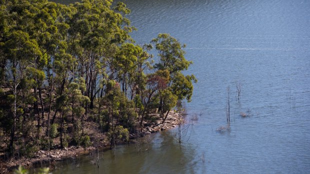 Warragamba Dam currently needs net inflows of about 50 gigalitres of water to spill. 