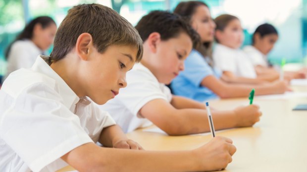 Online NAPLAN tests were supposed to begin this year, but the states and territories pulled out, citing concerns about technological glitches.