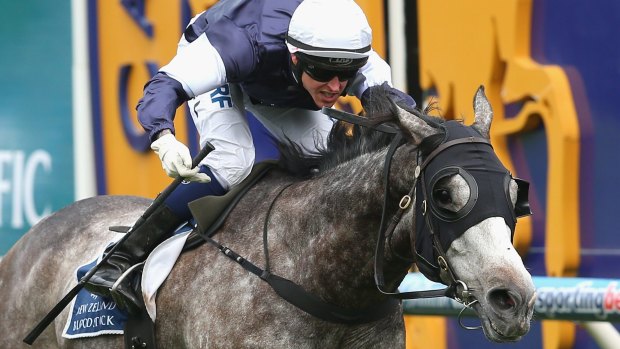 Fawkner has all the credentials of a modern-day Cup winner.