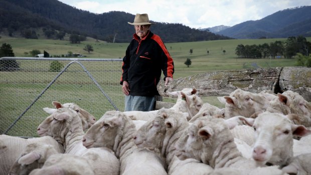 Wool prices rising faster than Sydney's housing: Fred Whitby.