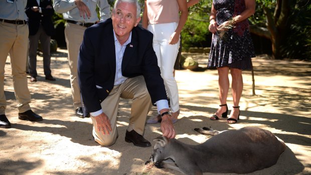 US Vice President Mike Pence pats a kangaroo during a visit to Taronga Zoo.
