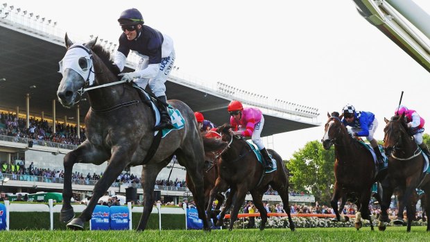 Running hot: Craig Williams on Moonovermanthattan leads the field at Moonee Valley.