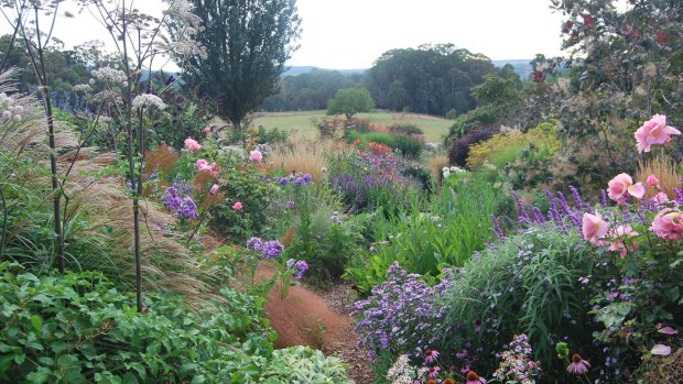 Perennial gardens reach their peak at this time of year, with dahlias blooming, grasses flowering, and a second flush from roses.