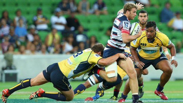 Dom Shipperley will make a return  for the Rebels against the Waratahs.