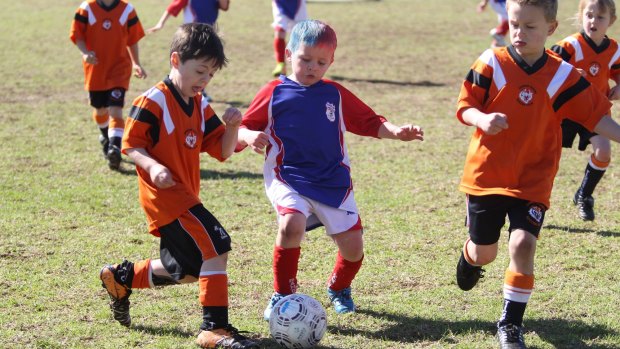Compared with politics these days, Under-6 soccer players are the acme of teamwork.