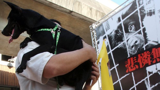 A Taiwanese man holds his dog during a gathering in 2011 to demand that dogs and cats be protected.