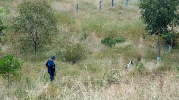 Police scour scrub and grassland near Toolern Vale, north-west of Melbourne.