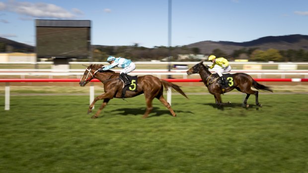 The Keith Dryden-trained Ziganui wins the benchmark 65 handicap (1400m) at Canberra's Thoroughbred Park.