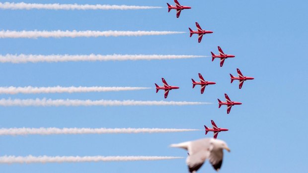 A seagull has become an internet sensation after taking the place of a Red Arrow at the Llandudno Air Show in a photo by first year photography student Jade Coxon.