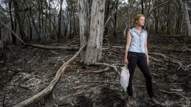 The ANU's Dr Annabel Smith has found current approaches to controlled hazard-reduction burns could have adverse effects on the genetic diversity of animal and plant populations. 