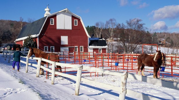 As the poet Robert P. T. Coffin wrote, the barns in Vermont are indeed bright red.