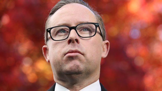 Qantas chief executive Alan Joyce said the pie incident reinforced his resolve to campaign for marriage equality.