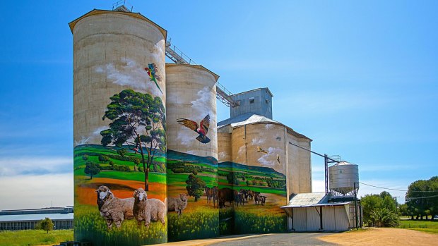 Silo Art near Grenfell, NSW. 