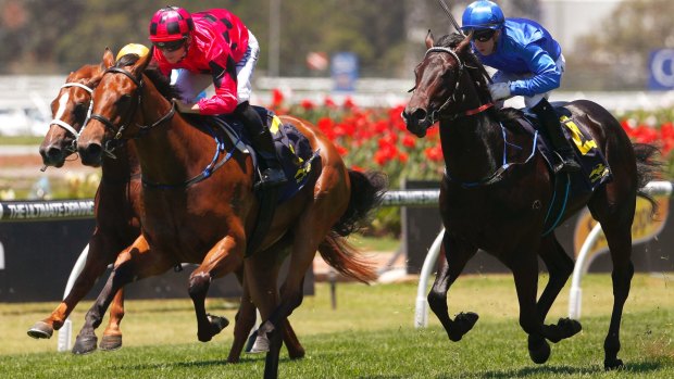 Underrated: Secret Lady strides away in the Golden Gift at Rosehill.