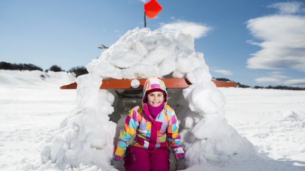 Pip Zdenowski, 10, from Adelaide, shelters in the igloo she built with her grandfather at Perisher. 