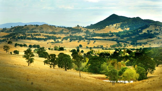 The hills around Mansfield in North Victoria. How might they be affected by some of the ravages of climate change?