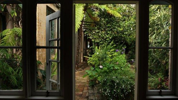 The garden view at Margaret Olley's vacant house in Paddington, Sydney, in 2013.