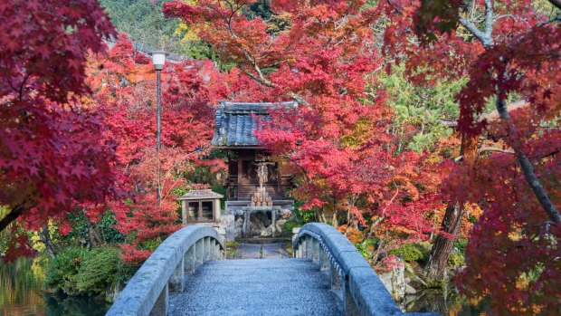 Autumn colours at the Eikan-do temple, at the southern end of the Philosopher’s Path in Kyoto.