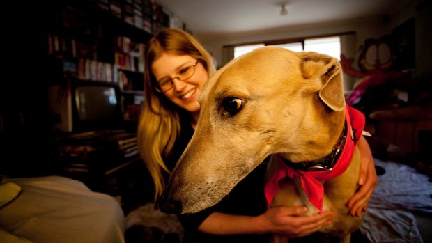 Veterinarian Belinda Oppenheimer rescued her greyhound Till from Melbourne University's now defunct greyhound blood-bank program.