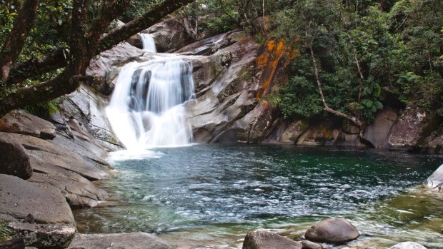 A search has resumed for a British tourist missing at Josephine Falls in far north Queensland.