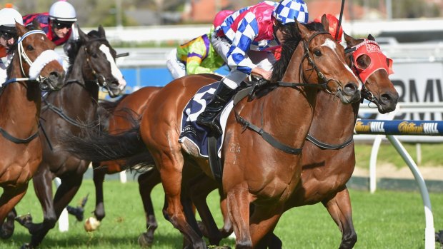 Canberra trainer Matthew Dale wants to take Fell Swoop to the $10m Everest.