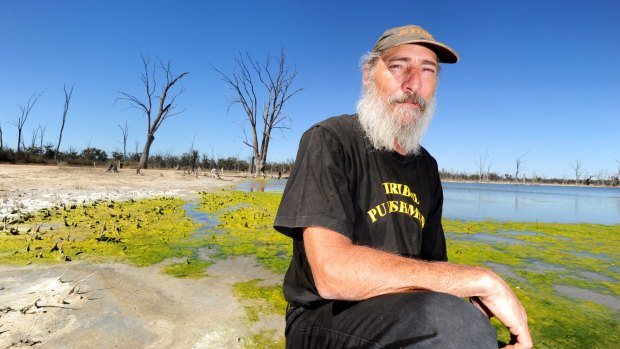 Darren Perry at Psyche Bend Lagoon, near Mildura. In background is algae forming as a result of high water temperatures and low oxygen.