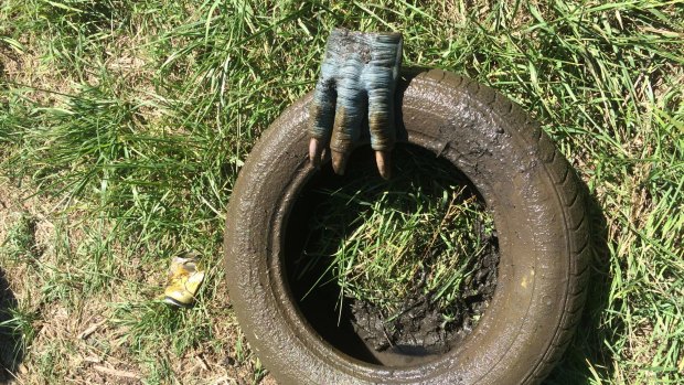 Monster claw found clinging onto a tyre in the Cooma Creek.