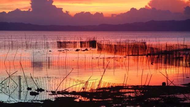 The island of Bohol.