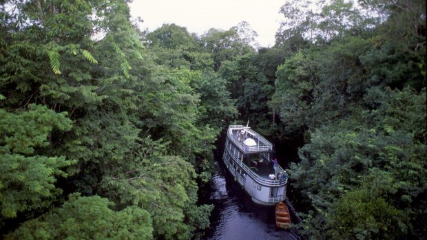 The Amazon: Not the carbon sink many had thought.